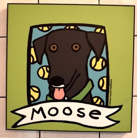Moosies Ice Cream Parlor