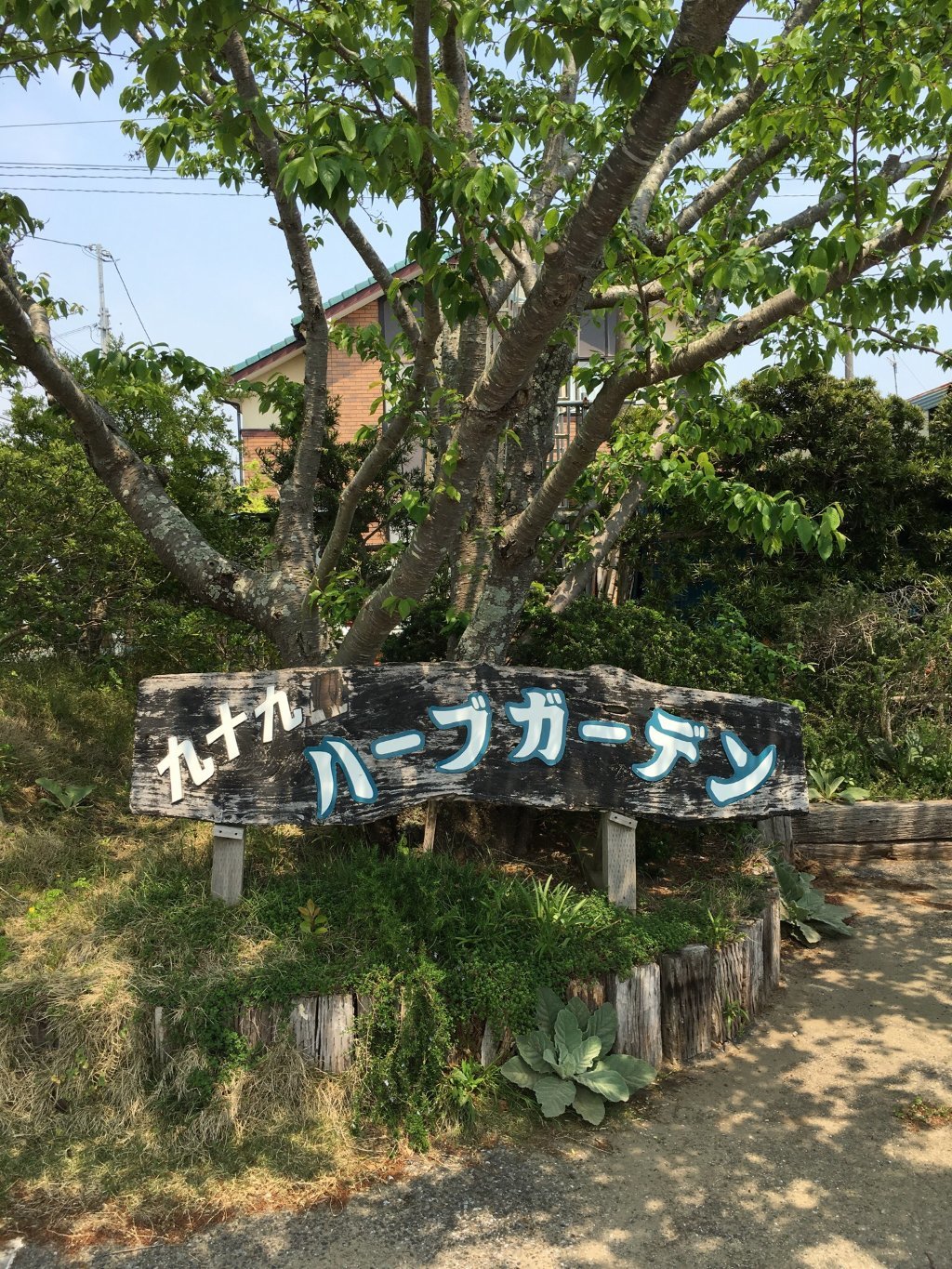 Kujukuri Herb Garden